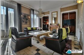 Hôtel particulier avec parc et piscine