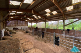 Propriété équestre proche des plages