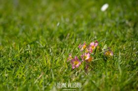 Maison à la campagne avec jardin et garage